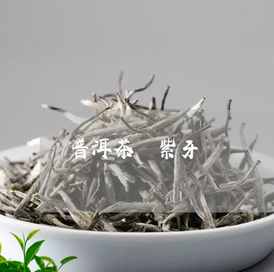 普洱茶 紫牙/2023042702649